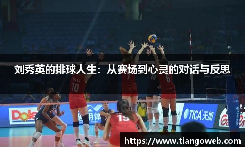B体育bsports