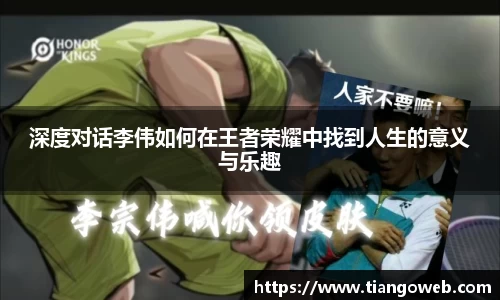B体育bsports