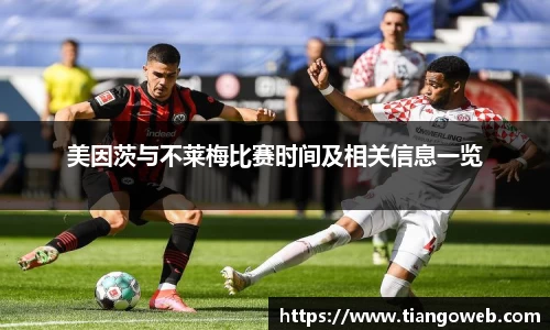 bsports官网入口